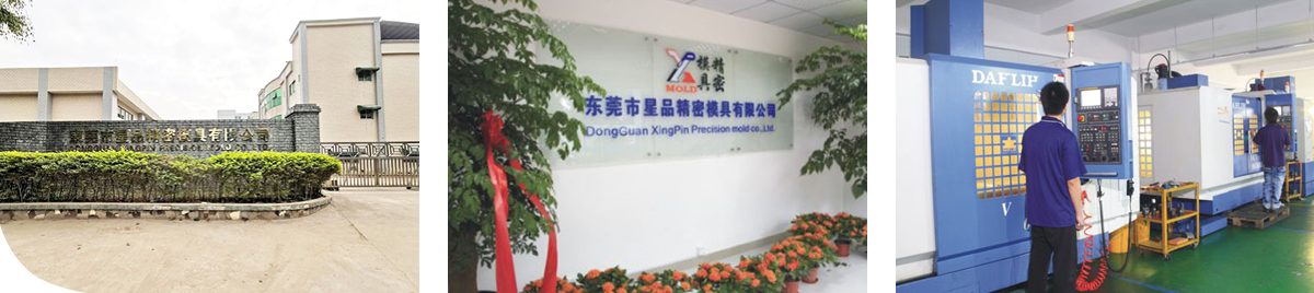 Dongguan Xingpin Precision Mould Co., Ltd.